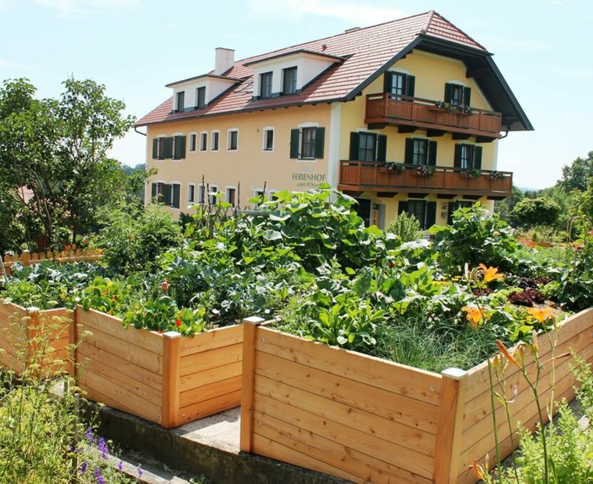 Bauern-Gemüsegarten