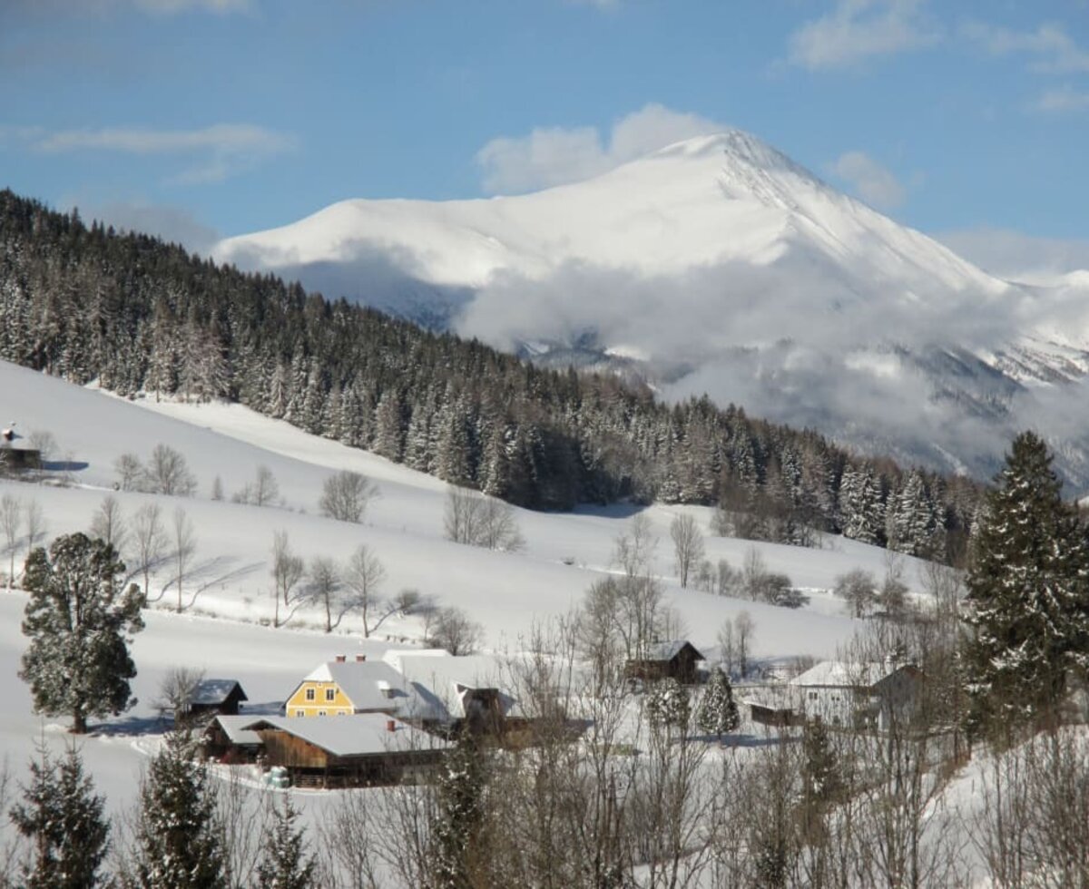 Roath-Hof und Dorferhütte mit herrlicher Schneelandschaft