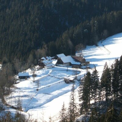 Urlaub am Bauernhof Fam. Rossegger, vlg. Schmiedhofer