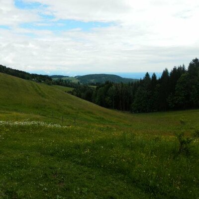 Aussicht vom Balkon