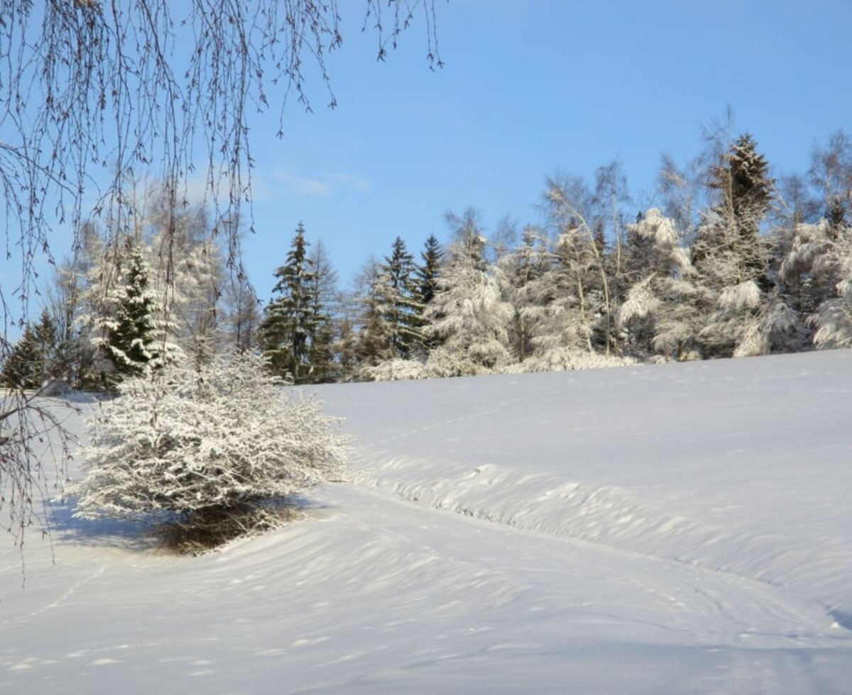 Ein Winterspaziergang durch frisch verschneite Wiesen und den Wald