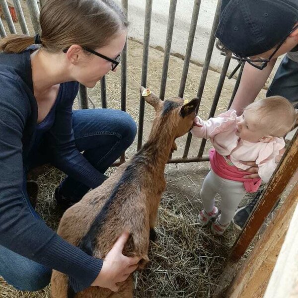 Vor allem Kinder erfreuen sich an den verschiedenen Tieren und die Streichel-Möglichkeiten