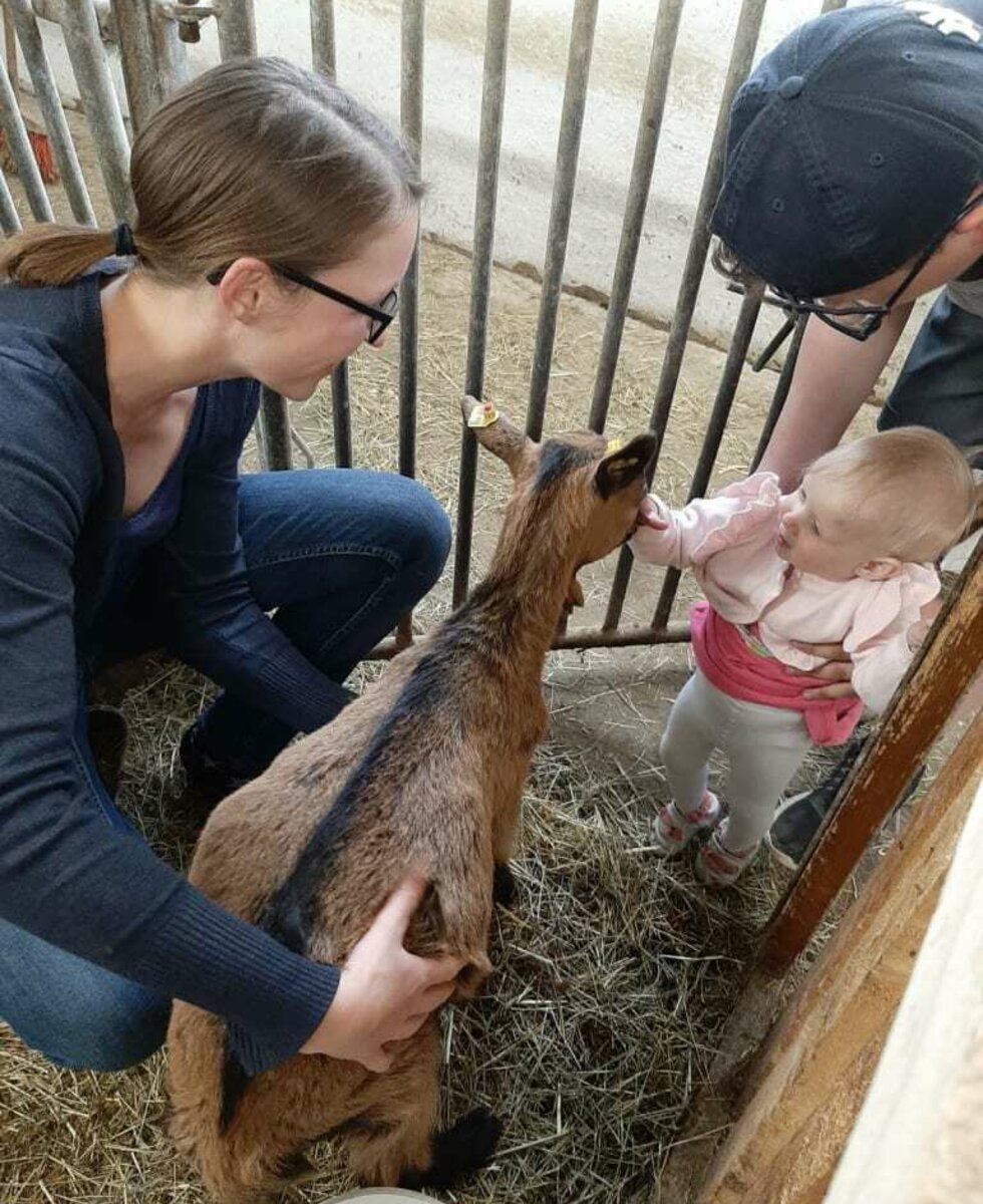 Vor allem Kinder erfreuen sich an den verschiedenen Tieren und die Streichel-Möglichkeiten