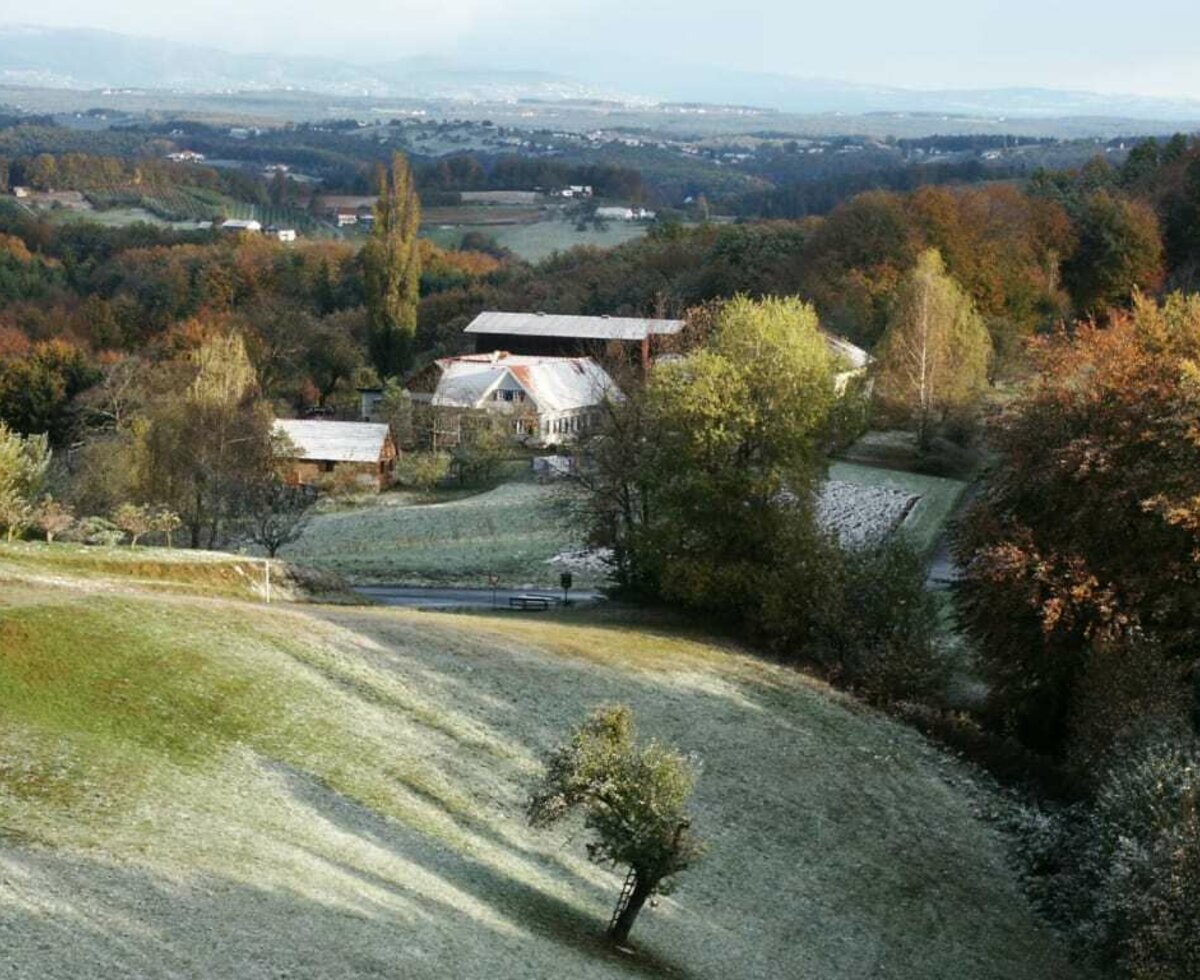 Blick auf den Lindenhof