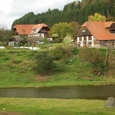 Hofansicht vom Teich aus