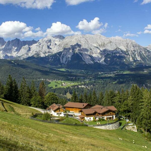 Stegerhof Panorama