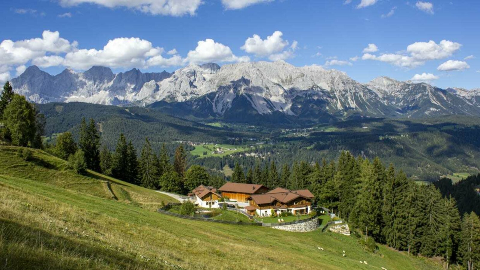 Stegerhof Panorama