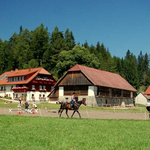 Herzlich Willkommen am Steinerhof