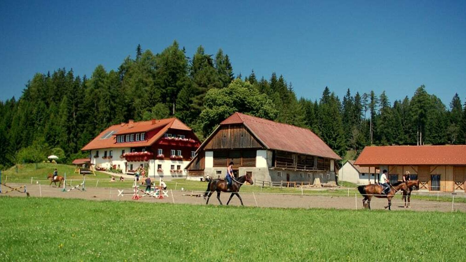 Herzlich Willkommen am Steinerhof