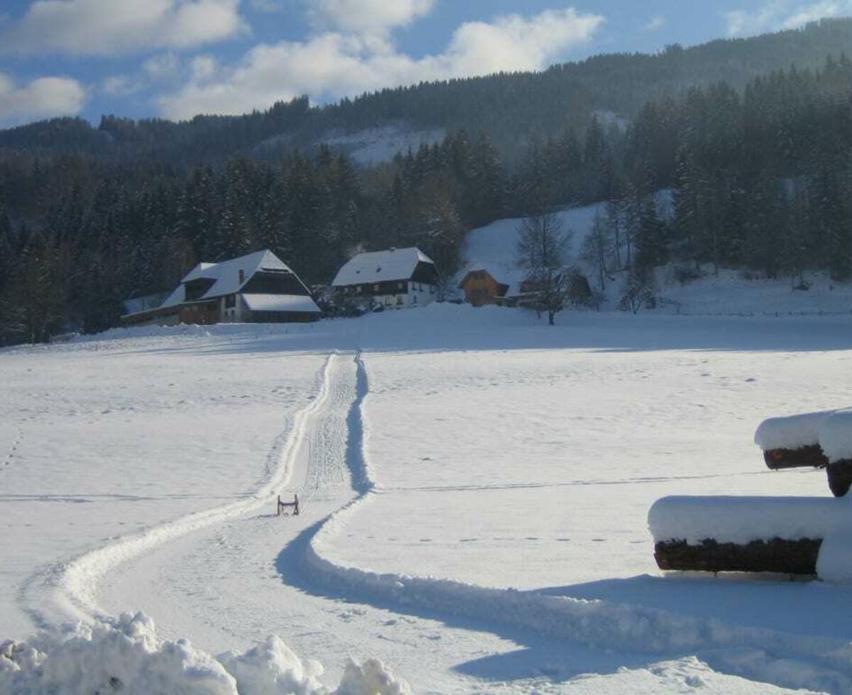 Schlittenbahn