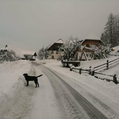 Wintereinbruch am Steinerhof