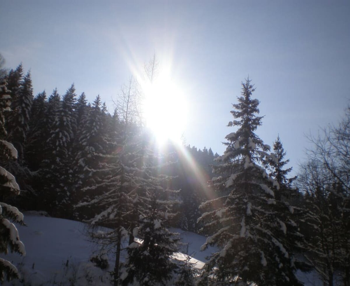 Impressionen von der Teichhütte