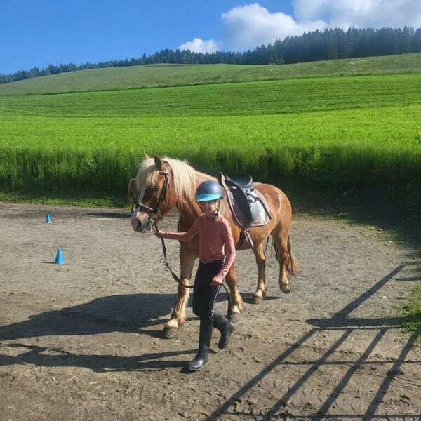 Reiten lernen