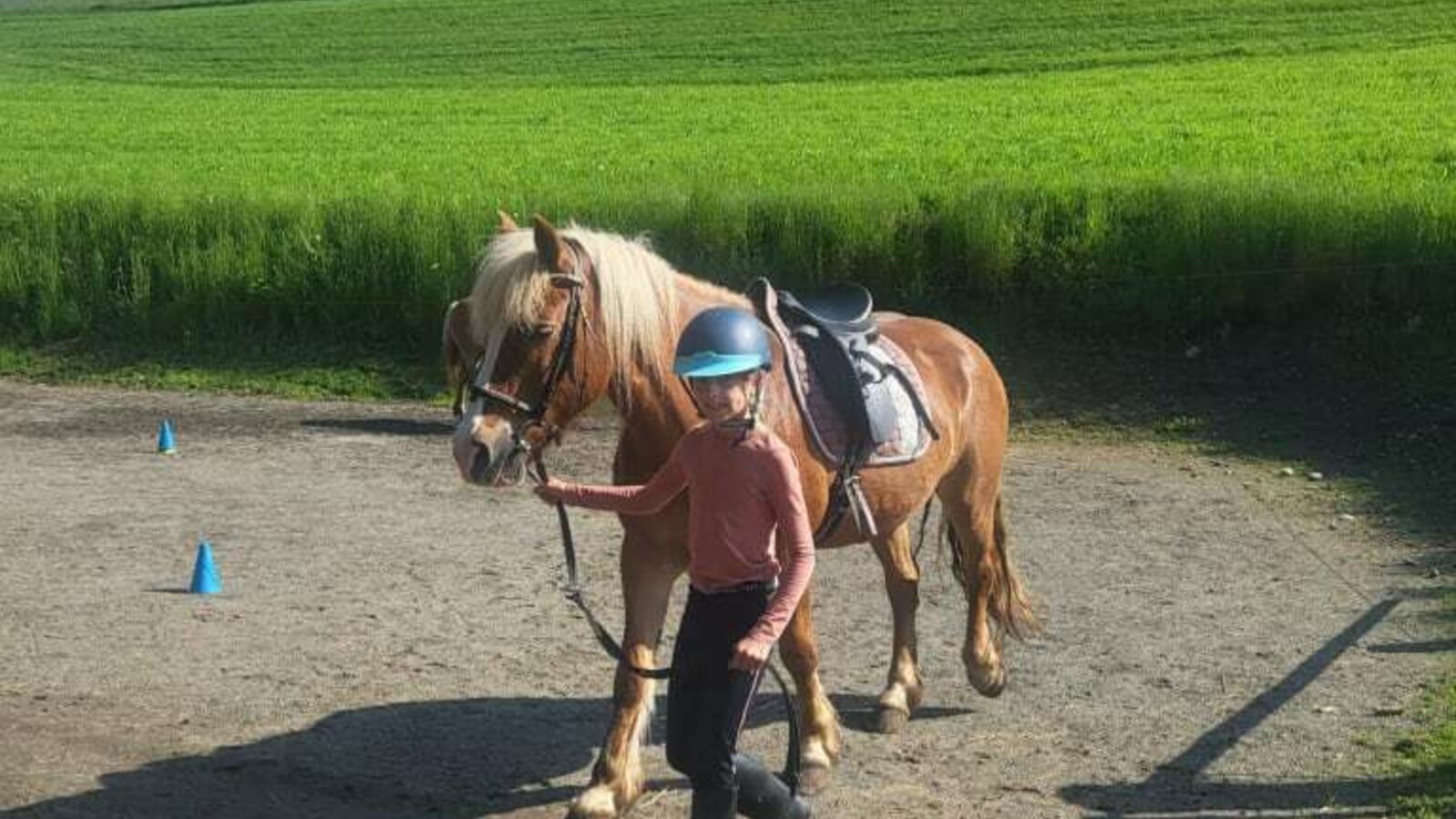 Reiten lernen