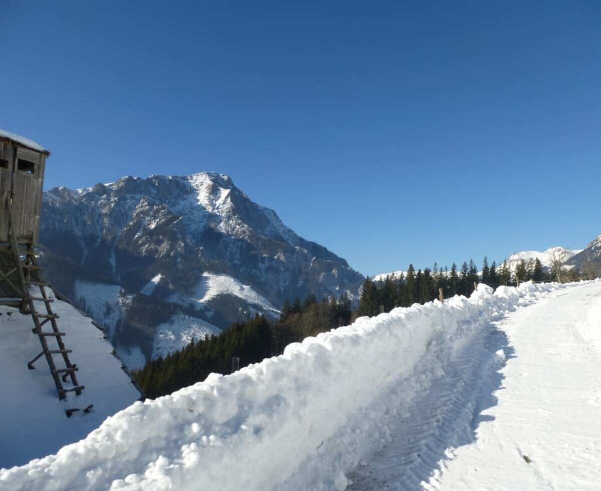 Winterurlaub auf der Geiereckalm