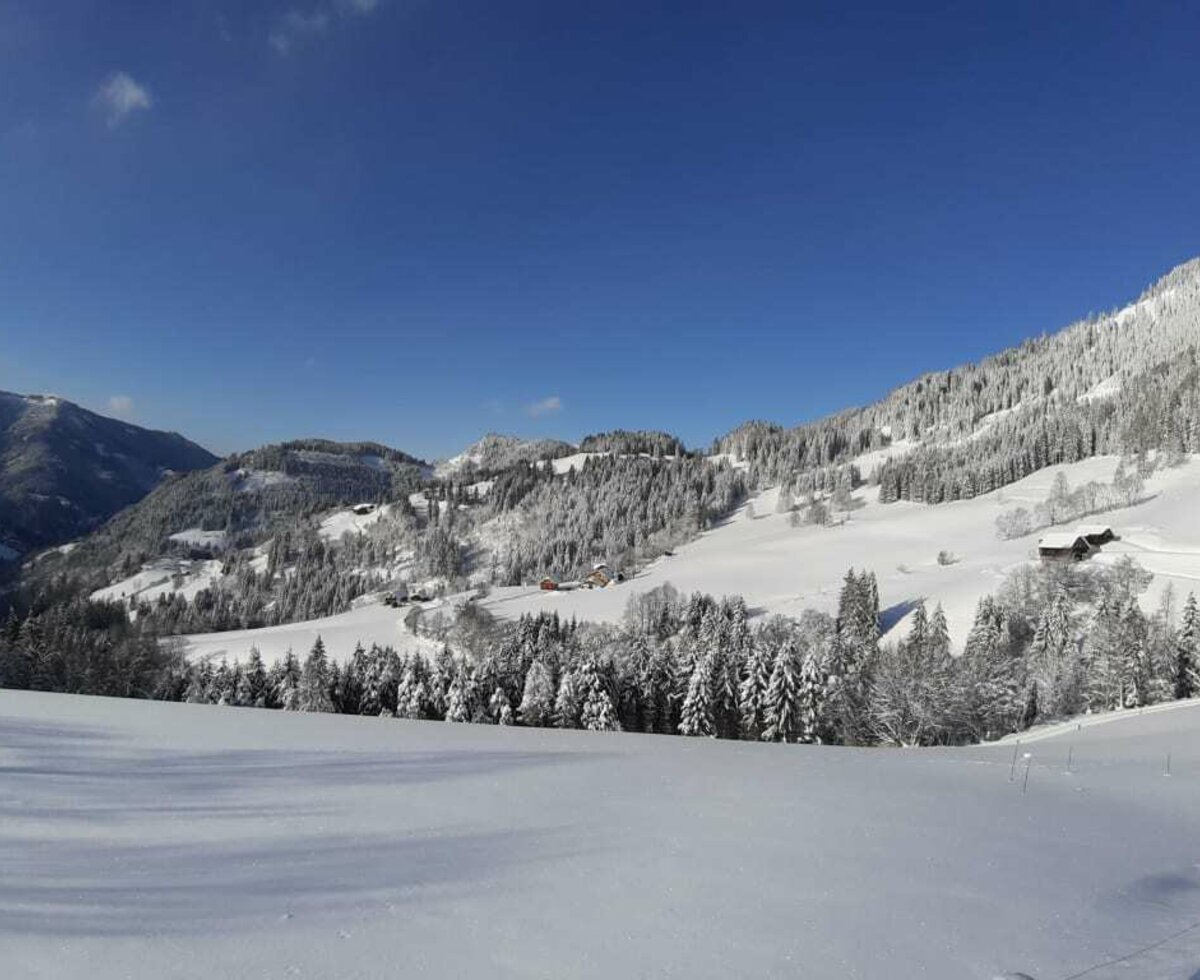 Idyllische Lage der Almhütte am Berg