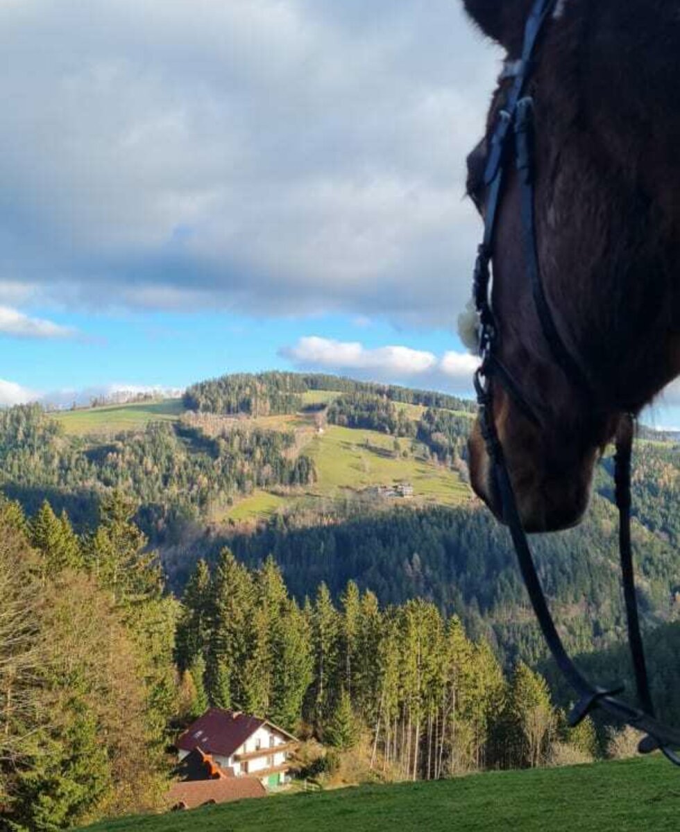 Don Dimitri mit Ausblick auf unsere Häuser