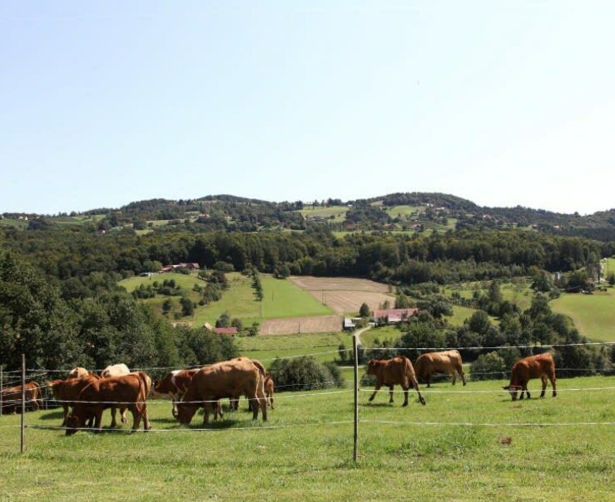 Die herrliche Aussicht wird Sie begeistern