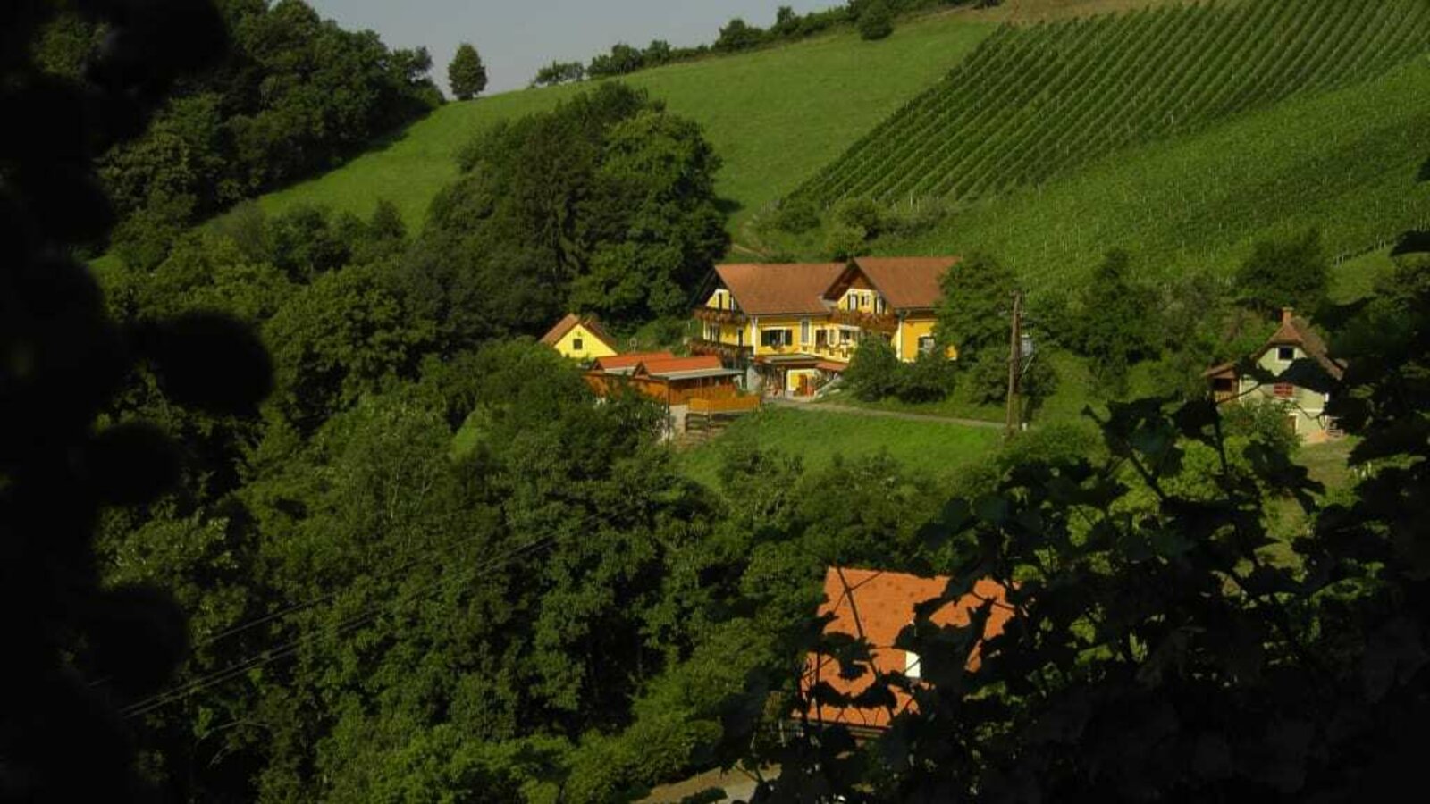 Weingut Stoff