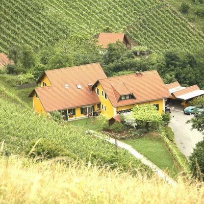 Blick vom Demmerkogel Richtung Weingut Stoff