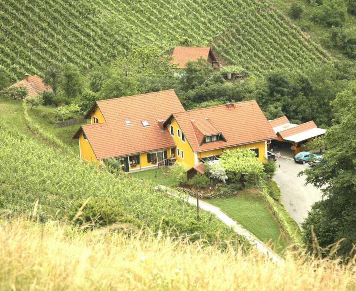 Blick vom Demmerkogel Richtung Weingut Stoff