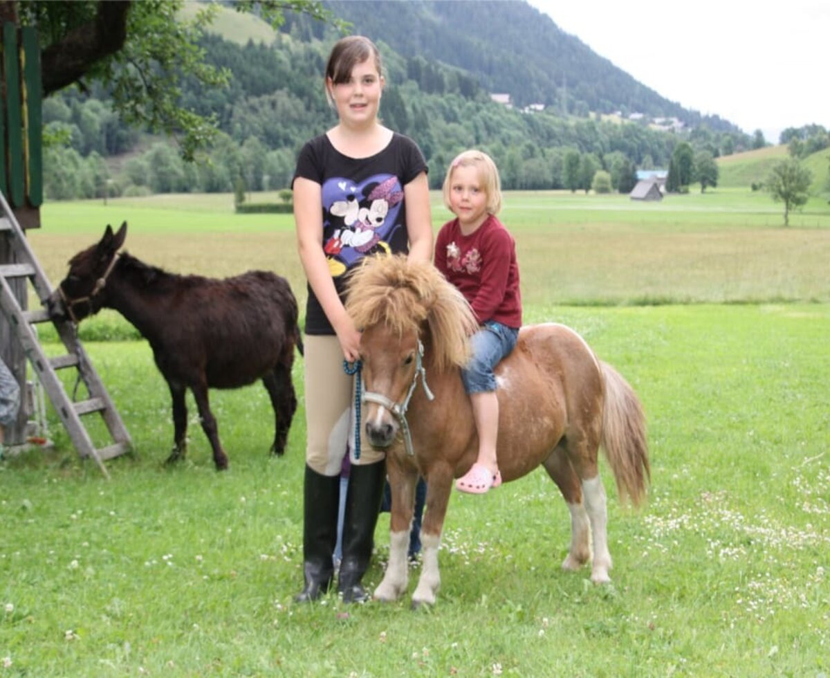 Minipony Michi, Esel Fridolin im Hintergrund