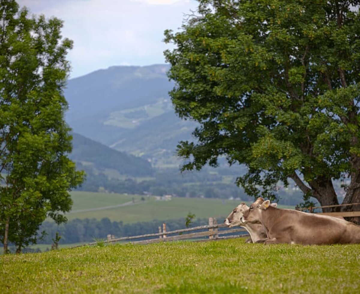 Schöne Aussichten