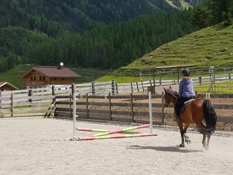 Reitunterricht für Fortgeschrittene