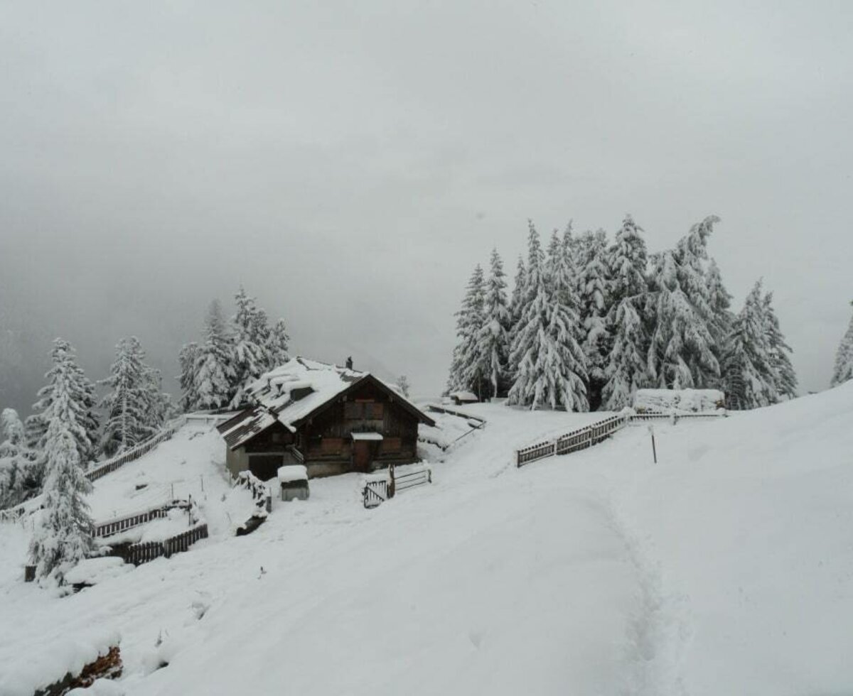 Hütte  im Winter