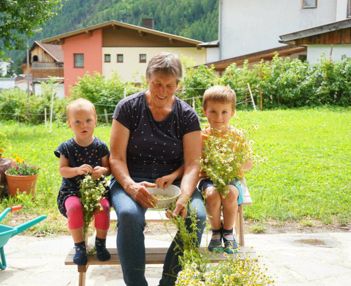 Kamillenblütenernte mit Oma Liesl