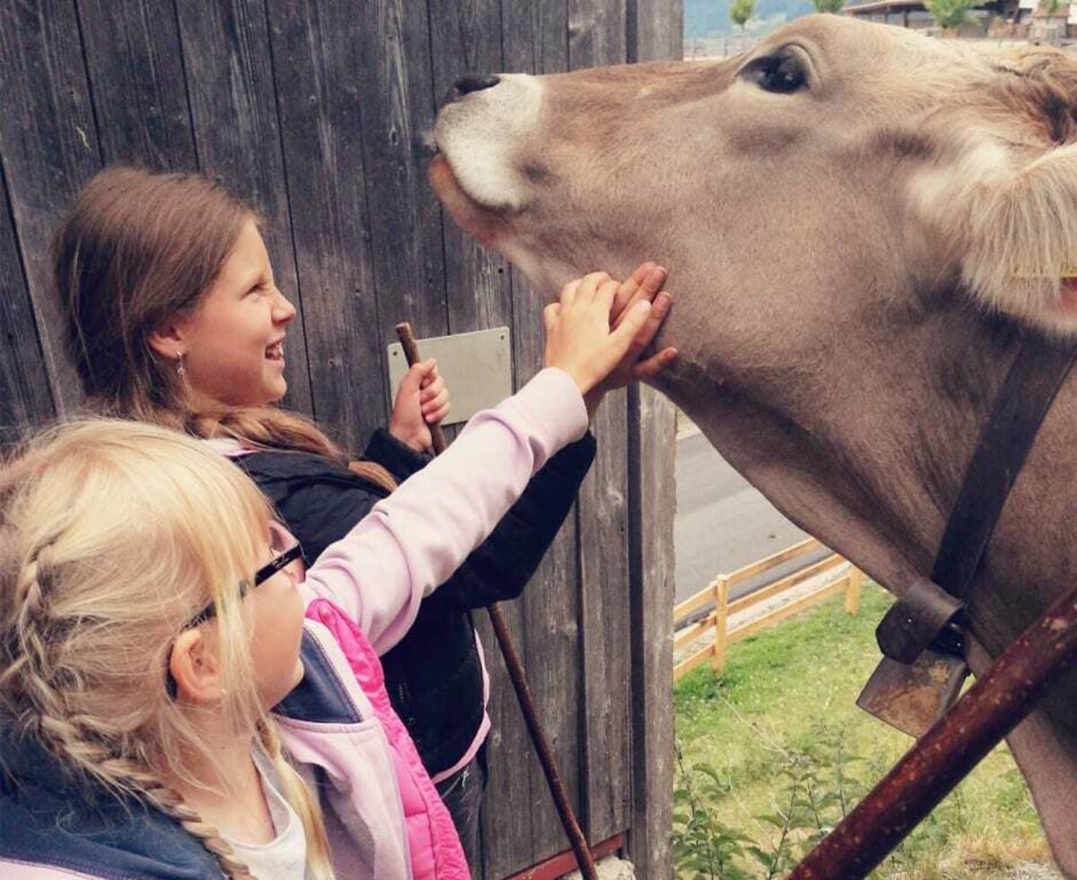 Kuh mit Kinder