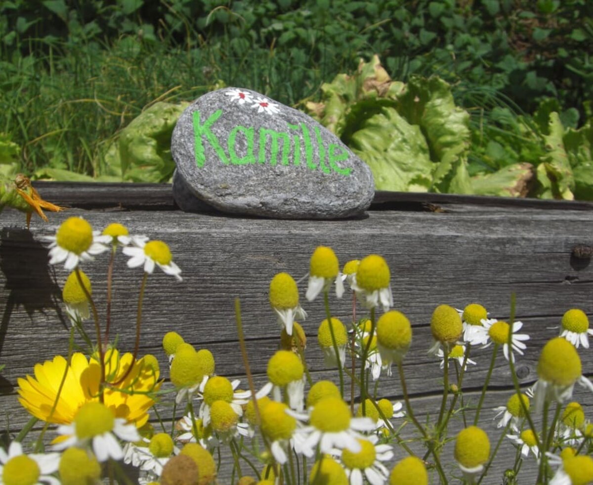 Aus dem kleinen Kräutergarten