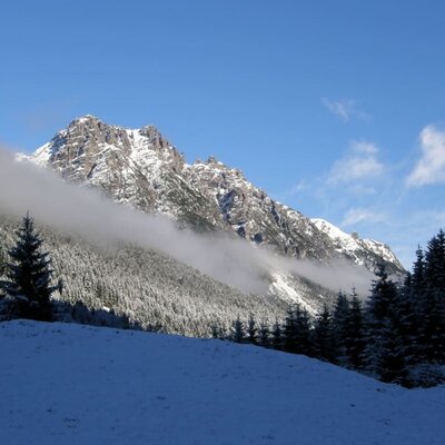 Natur bewusst erleben. Berghof am Schwand, Schneewandern