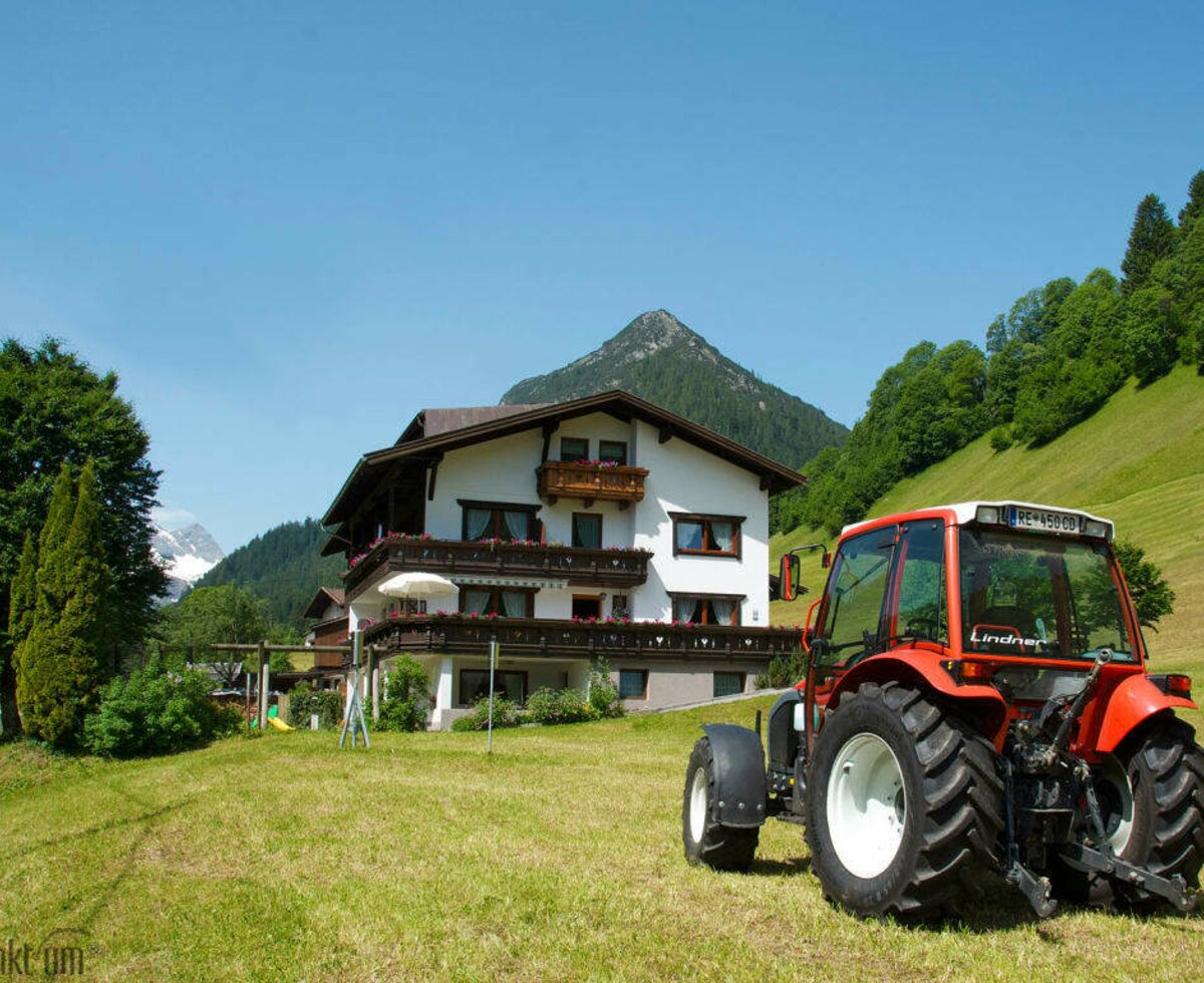 Frisch gemähte Wiese mit unserem Lindnertraktor