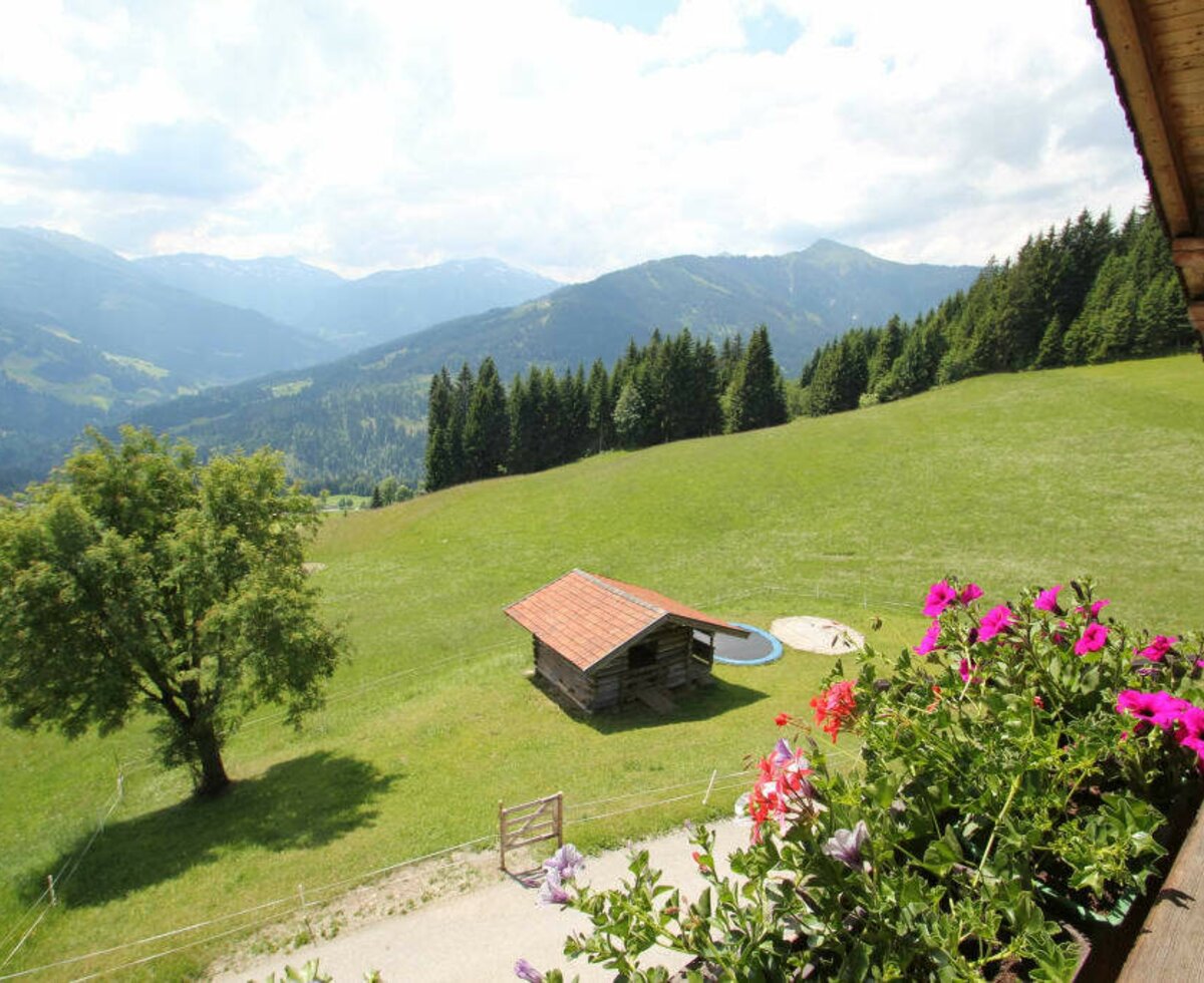 aussicht vom Balkon