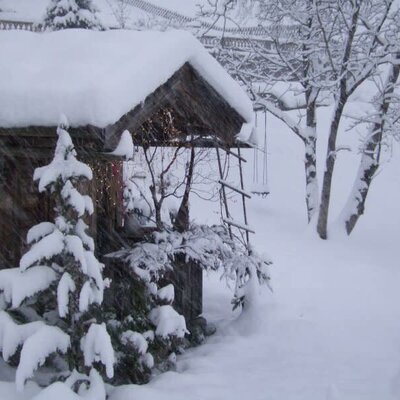 Unser Garten im Winter