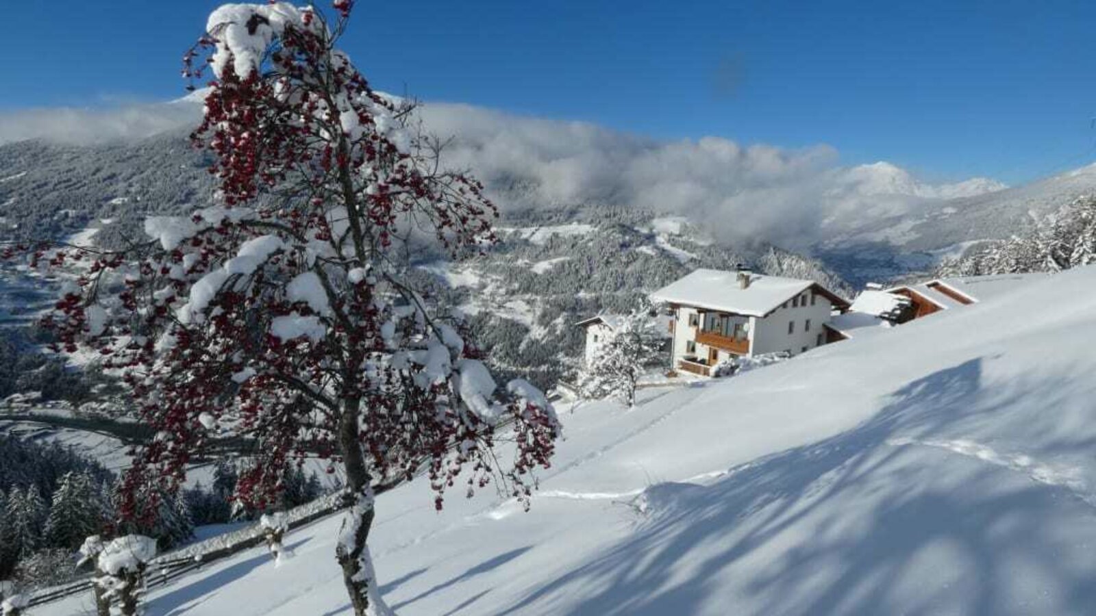 Biohof-Inntalblick, eingebettet im Winterweiß