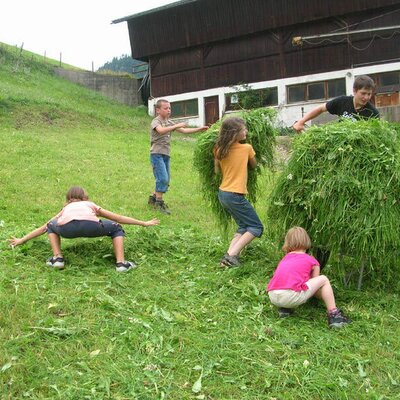 Gras für die Kühe