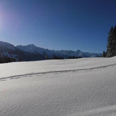 Panorma Blick Zillertal Tirol