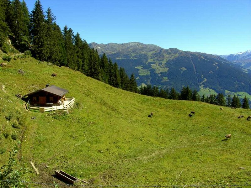 Almhütte Zillertal