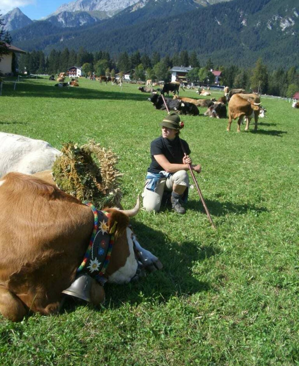 Almabtrieb in Leutasch