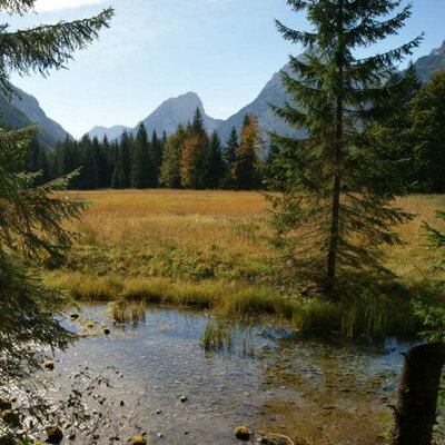 Spaziergang in der Umgebung Bruggerhof in Leutasch