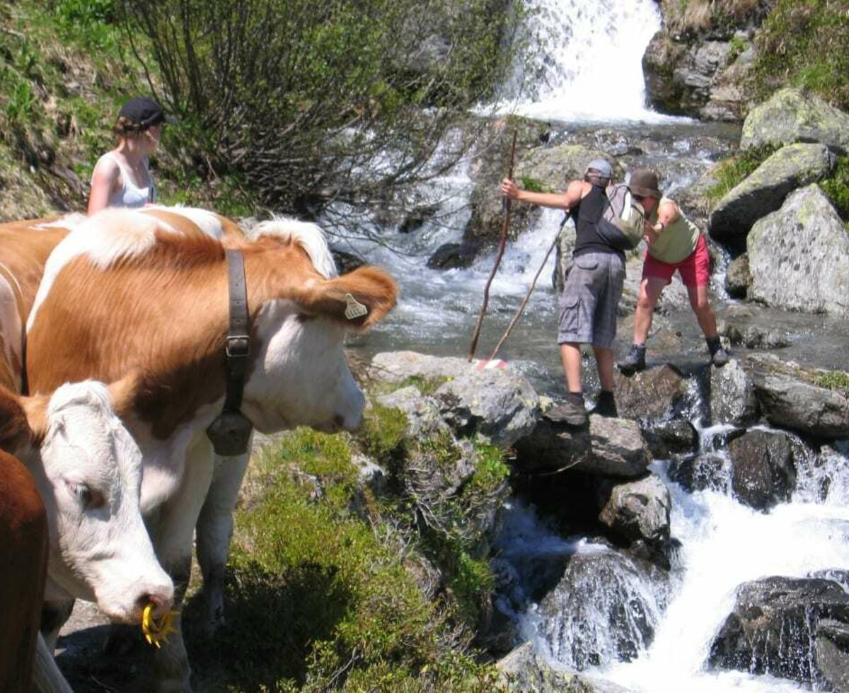 Sommer in den Kitzüheler Alpen oberhalb der Alm