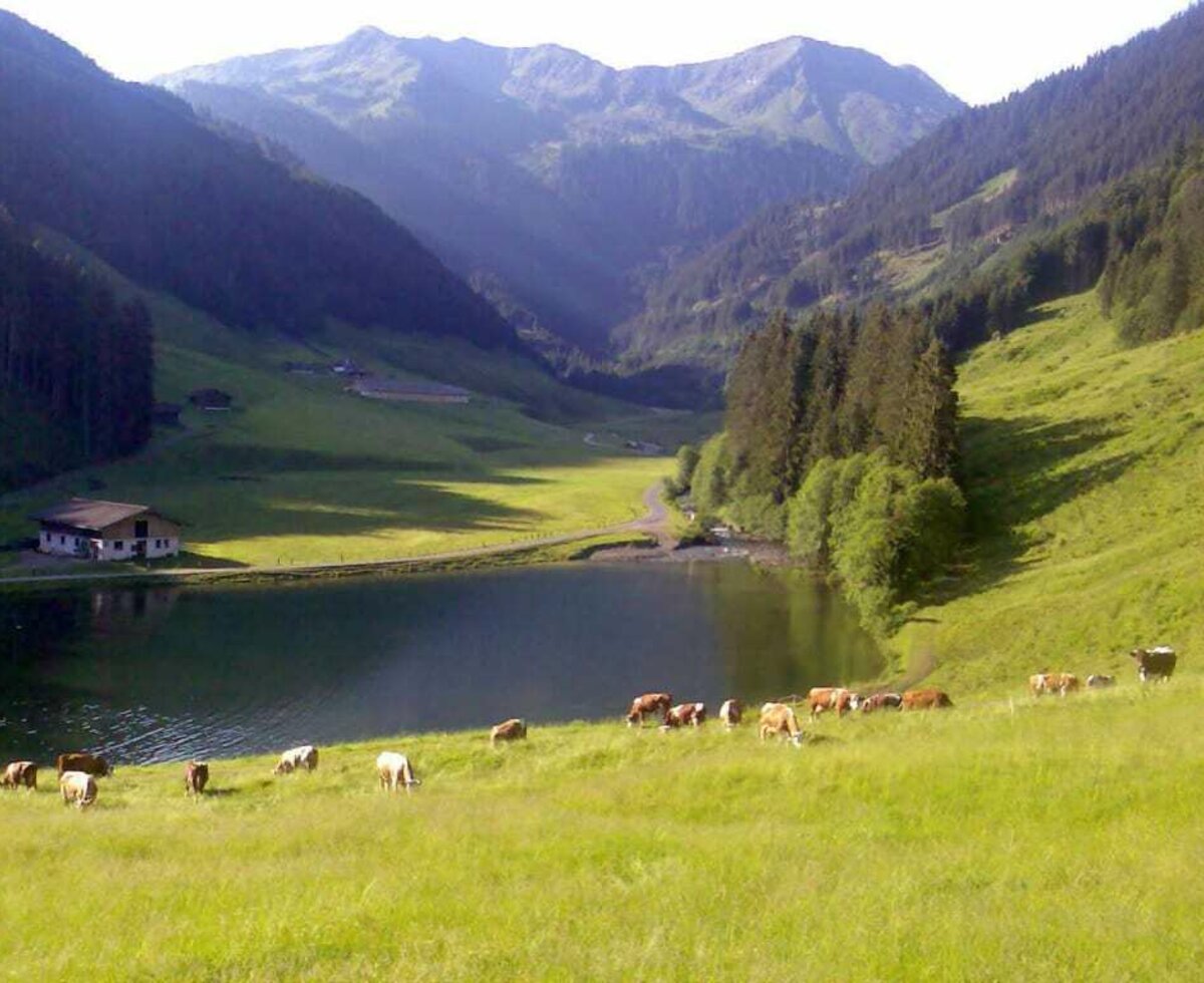 Nächste Umgebung (das Chalet befindet sich im Rücken des Fotografen)