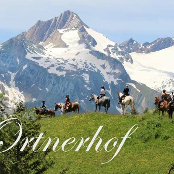 Ortnerhof / Reitergruppe und Quirl, Malhamgruppe