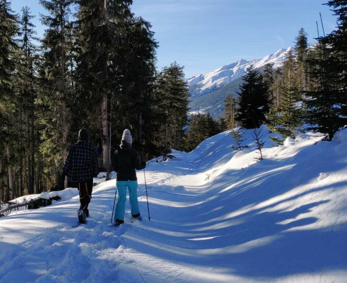 Schneeschuhwandern in Lerch