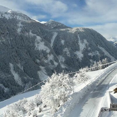 SkiHit und Urlaub am Elsenhof