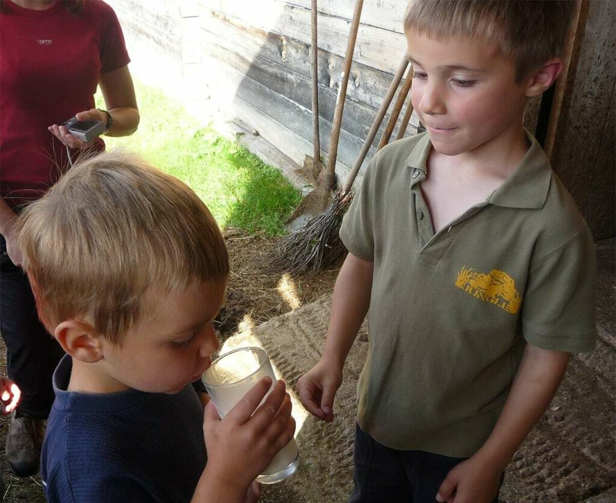 frische Milch trinken am Elsenhof