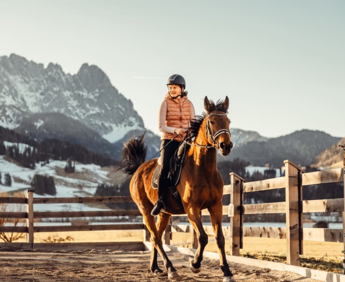 Reiten am Feriengut Oberhabach