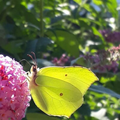 Der Zauber der Natur